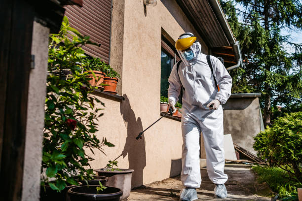 Best Pest Prevention Services  in Fruita, CO