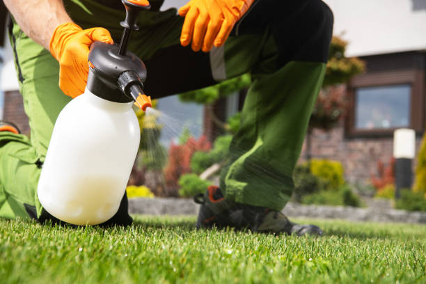 Best Bed Bug Extermination  in Fruita, CO