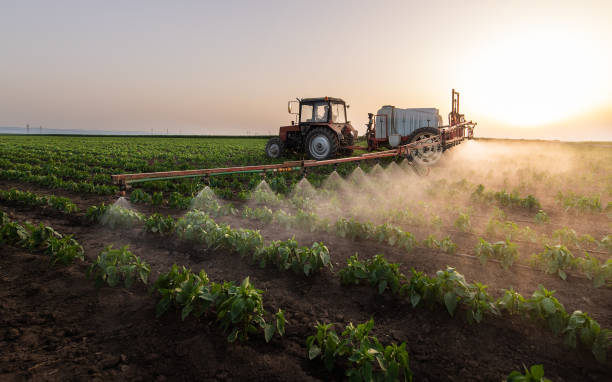 Best Pest Removal Services  in Fruita, CO