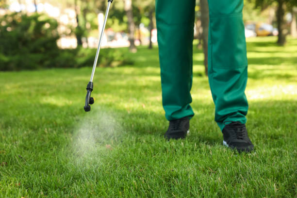 Best Best Pest Control Companies  in Fruita, CO