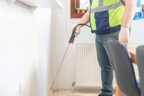 Best Affordable Pest Control Services  in Fruita, CO